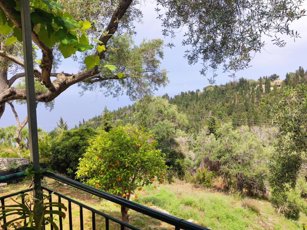 Rania'S Cottage Λάκκα Εξωτερικό φωτογραφία