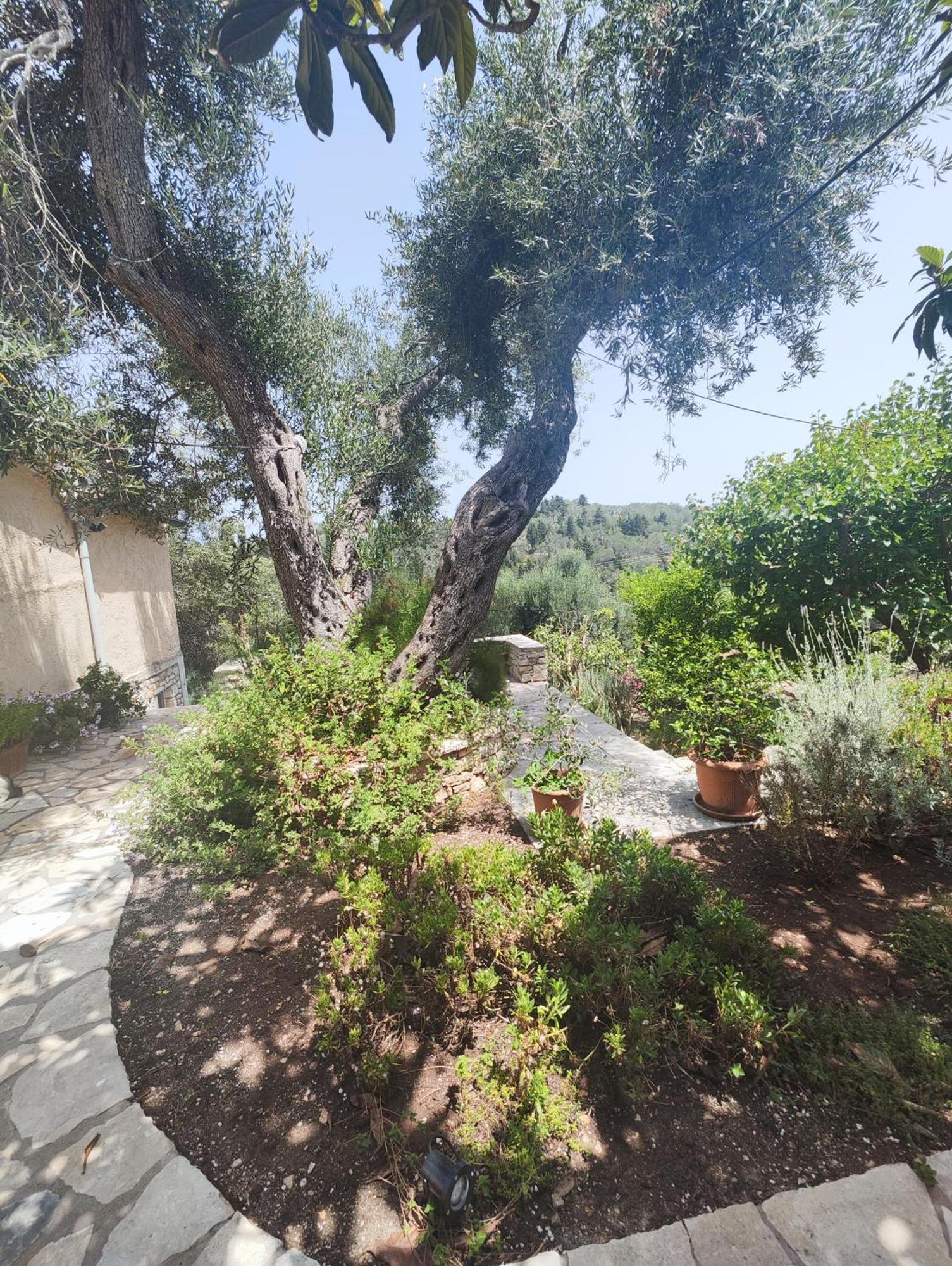 Rania'S Cottage Λάκκα Εξωτερικό φωτογραφία