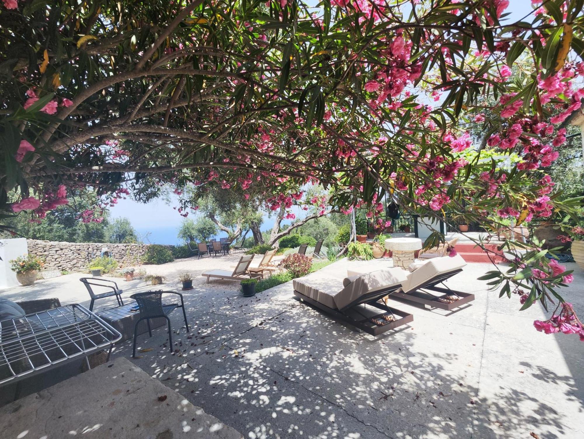 Rania'S Cottage Λάκκα Εξωτερικό φωτογραφία