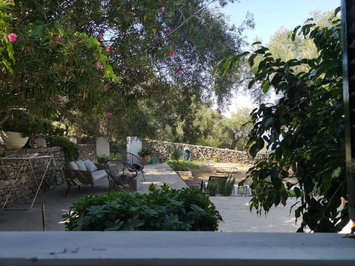Rania'S Cottage Λάκκα Εξωτερικό φωτογραφία